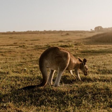 Top 10 most popular outdoor activities in Australia