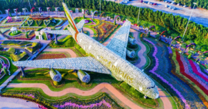 Top-10-Places-to-Visit-in-Dubai-that-you-must-visit-Dubai-Miracle-Garden