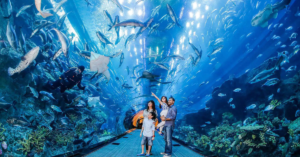  Top-10-Places-to-Visit-in-Dubai-that-you-must-visit-Underwater-World-at-Dubai-Aquarium